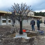 l-tv-crematroium