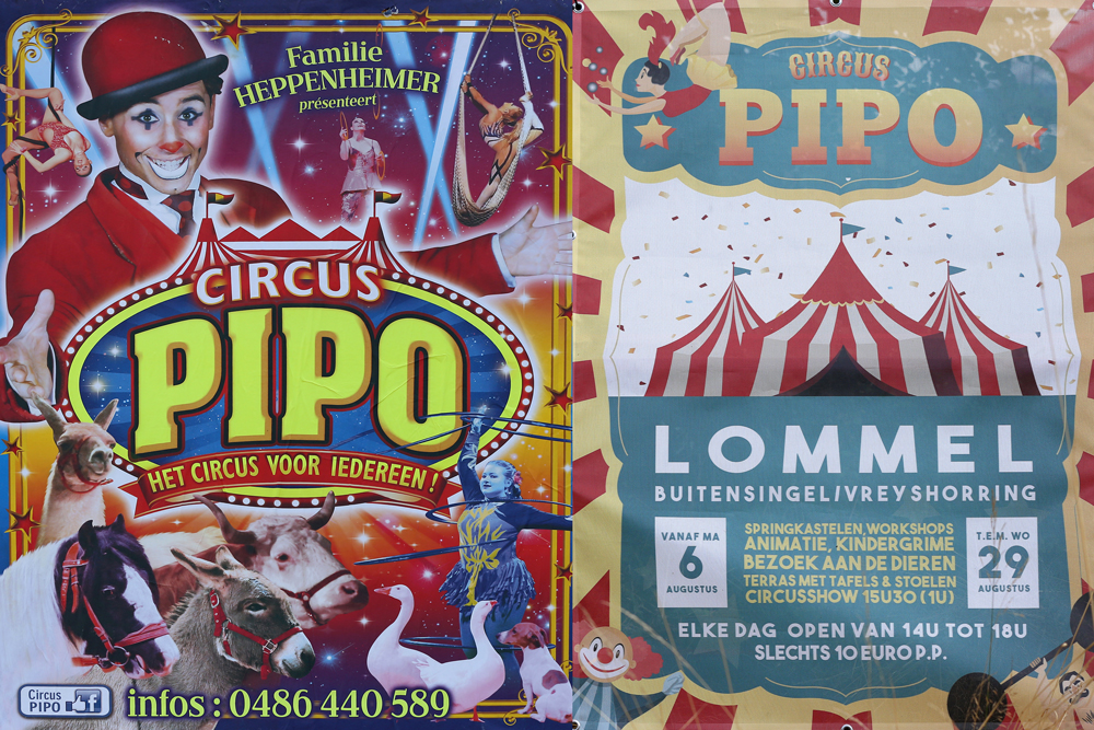 Circus Pipo Lommel Tv 7213