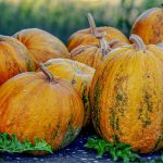 oil-pumpkins-3681055_640